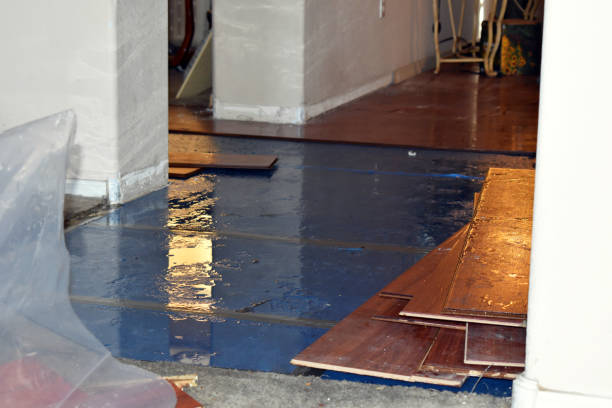 Professional Flood Cleanup technician working in New Boston, OH